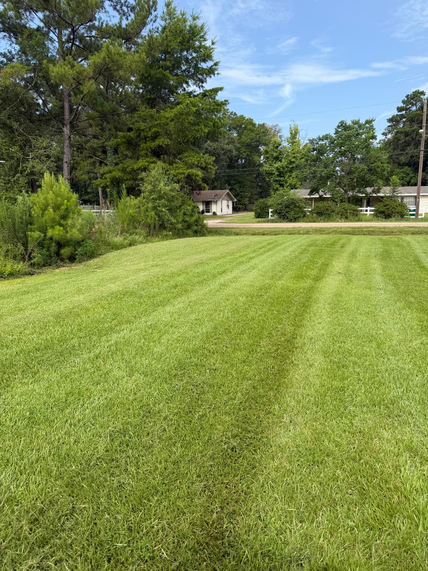 Lawn Care