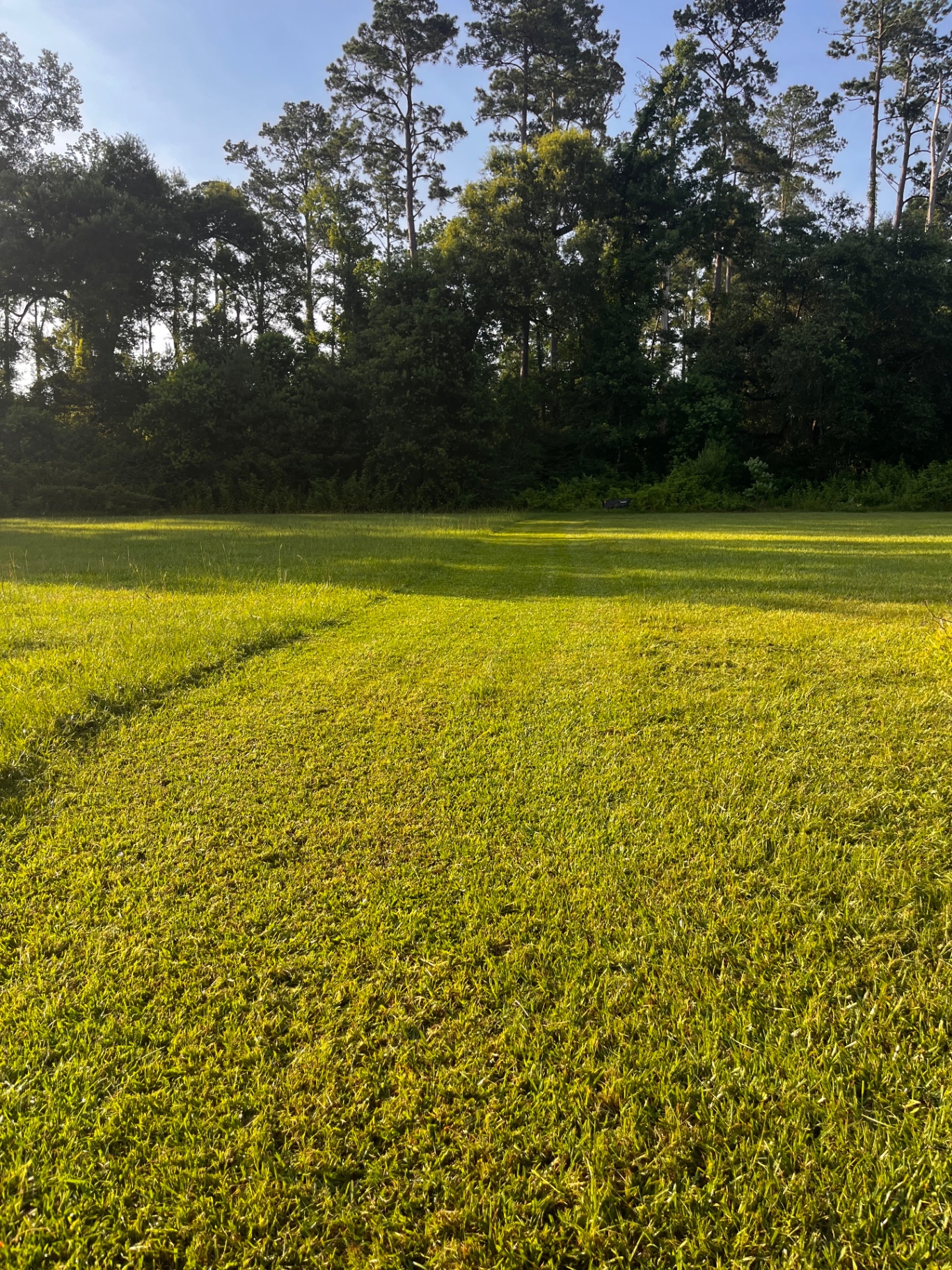 EZgrassla recent lawn job 2